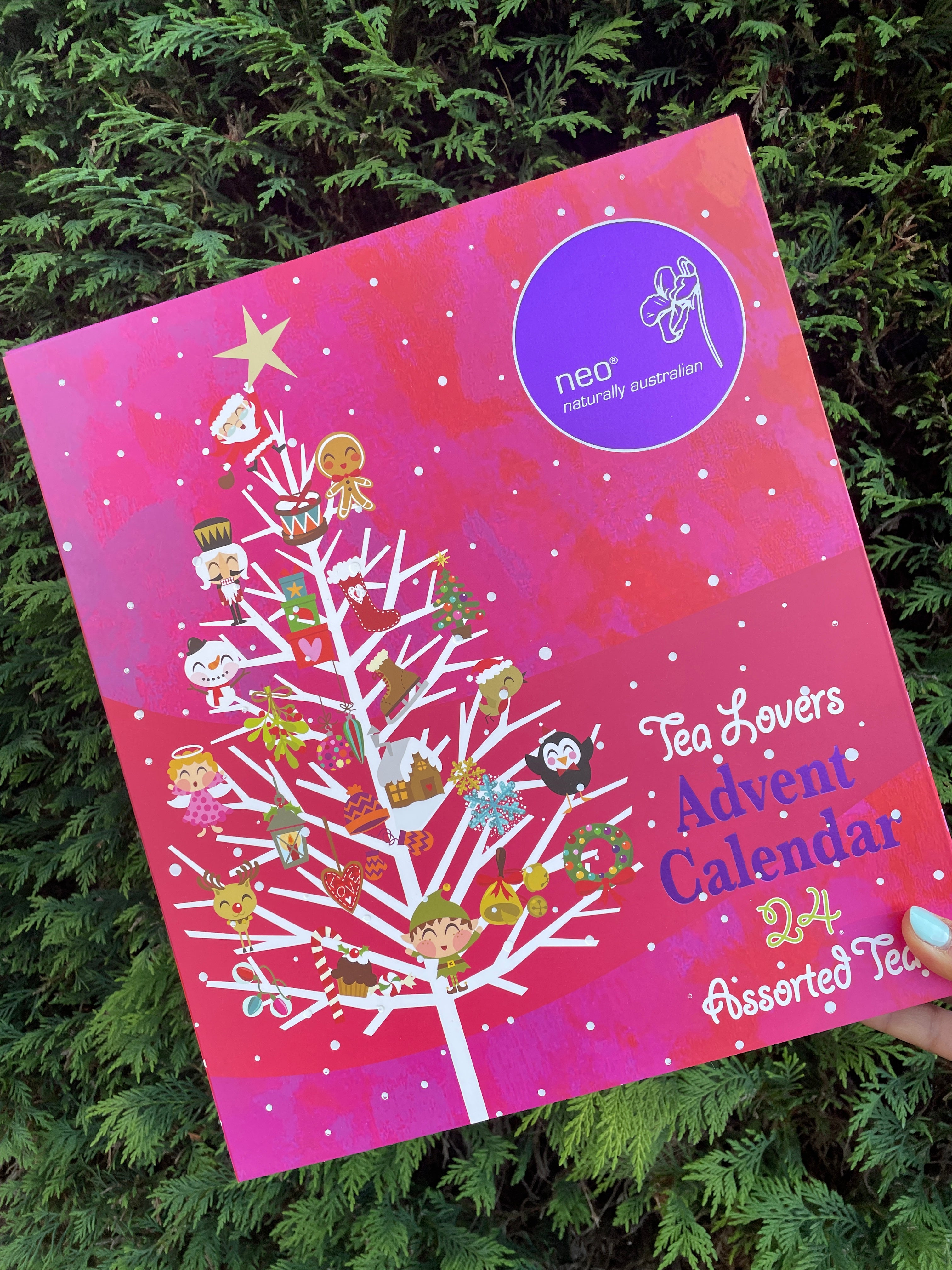 Christmas Tea Advent Calendar - 24 Days Premium Tea Collection