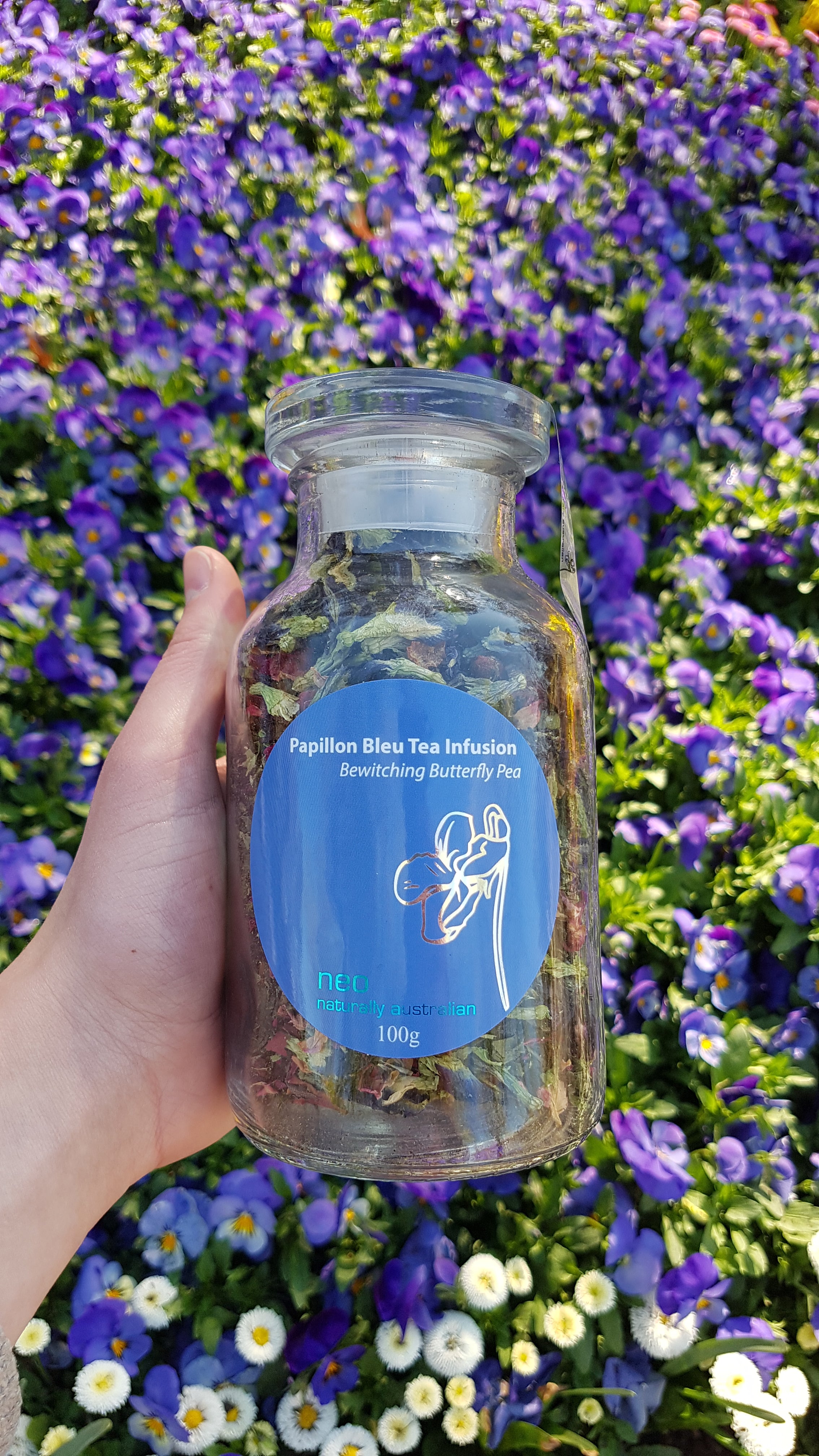 Bewitching Butterfly Pea Tea - Blue Tea Jar 100g