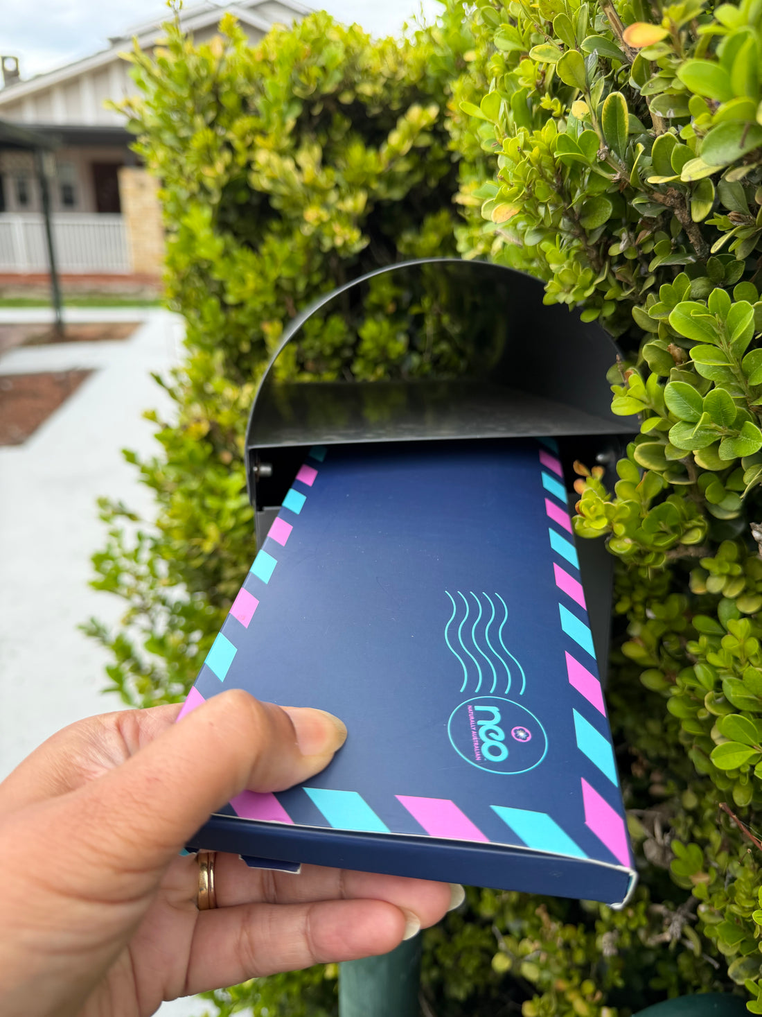 3 Month Tea Taster Subscription Gift