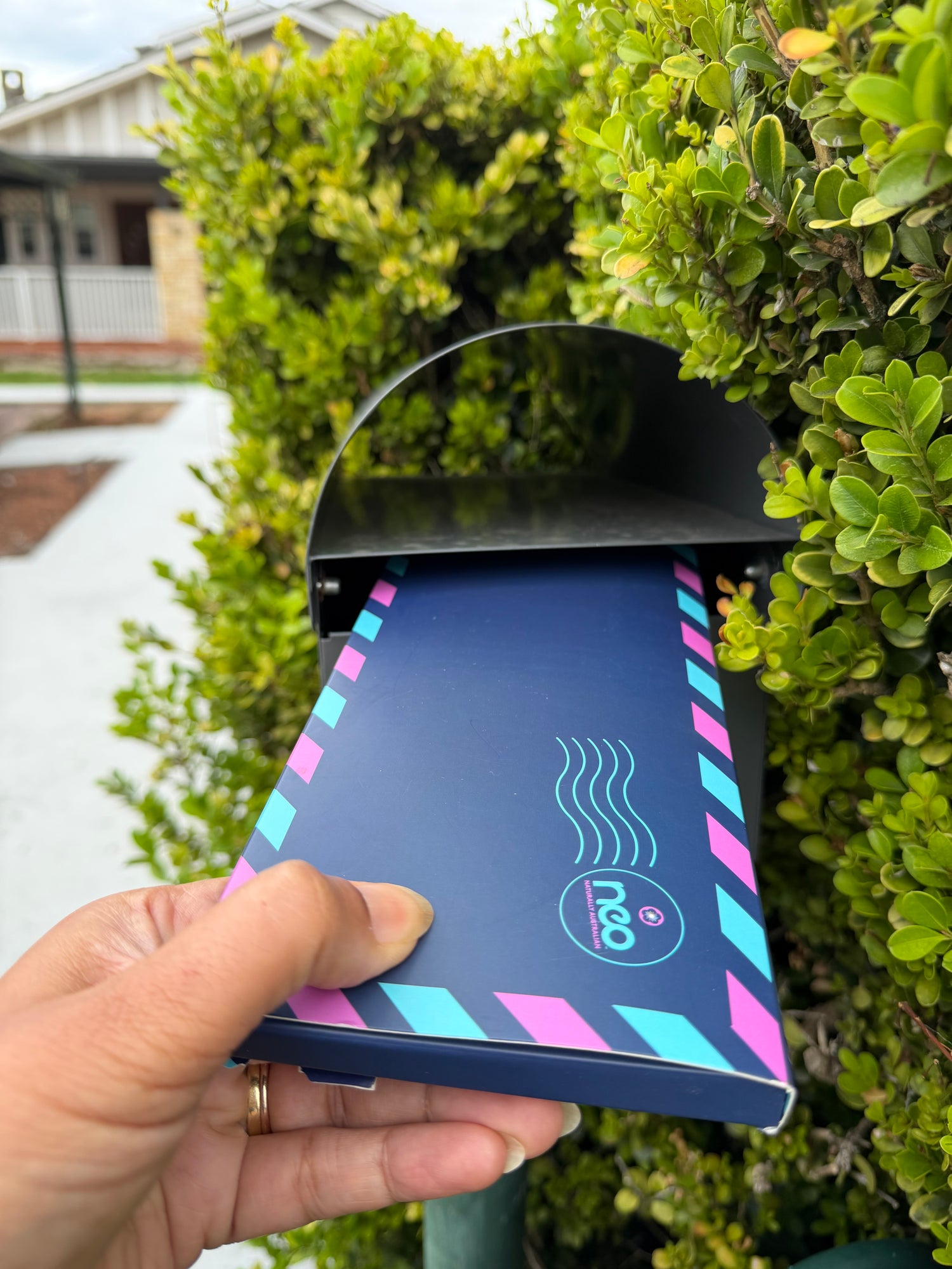 3 Month Tea Taster Subscription Gift