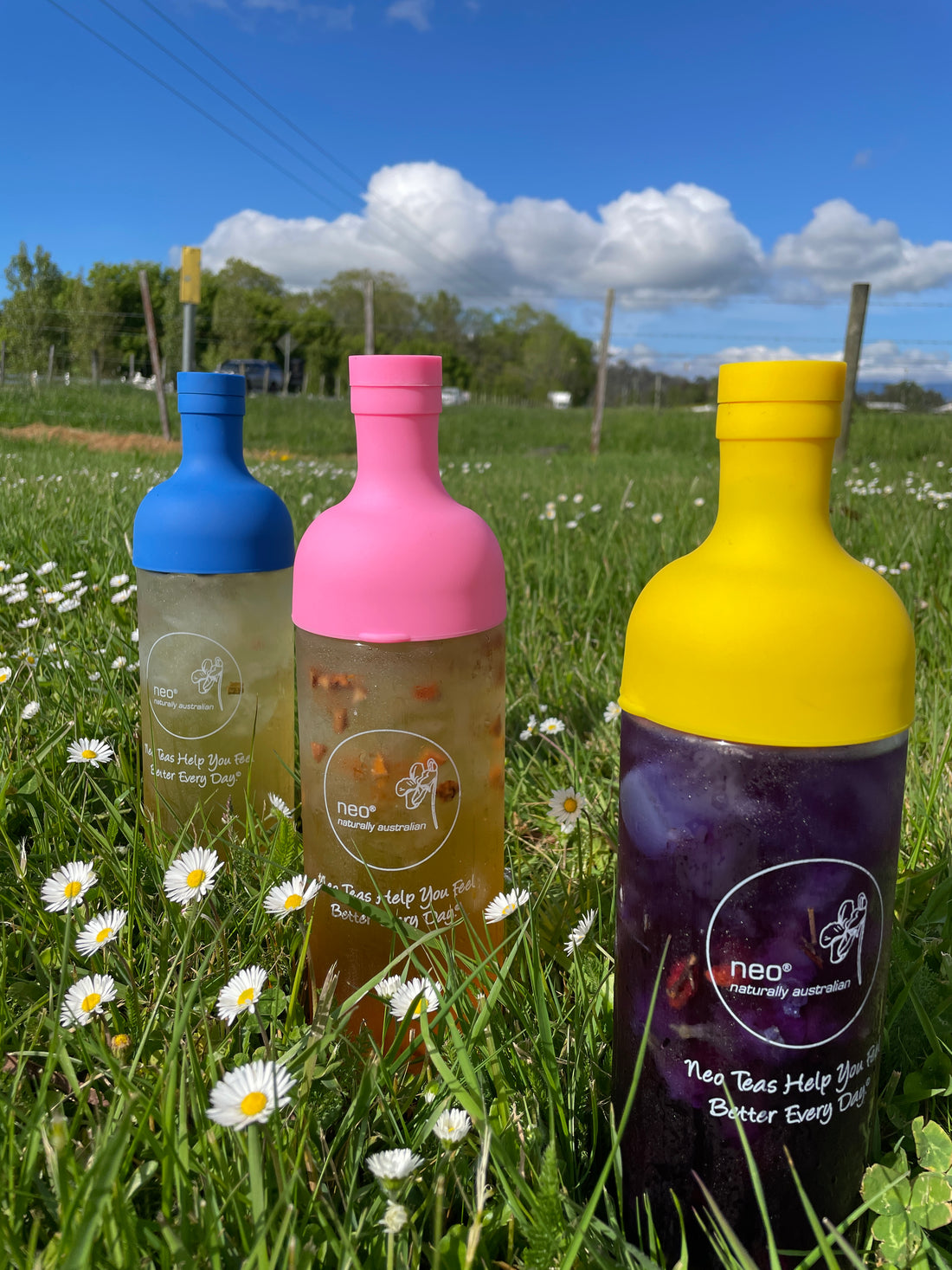 Summer Cold Brew Tea Bottle 750ml