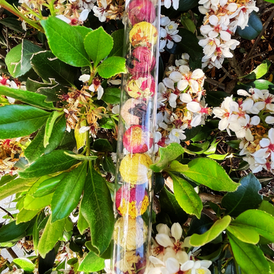 Blooming Floral Tea Balls