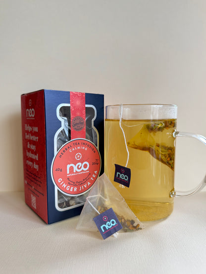 Ginger Jiva Tea – 6 Box Bulk Pack (Pyramid Teabags)