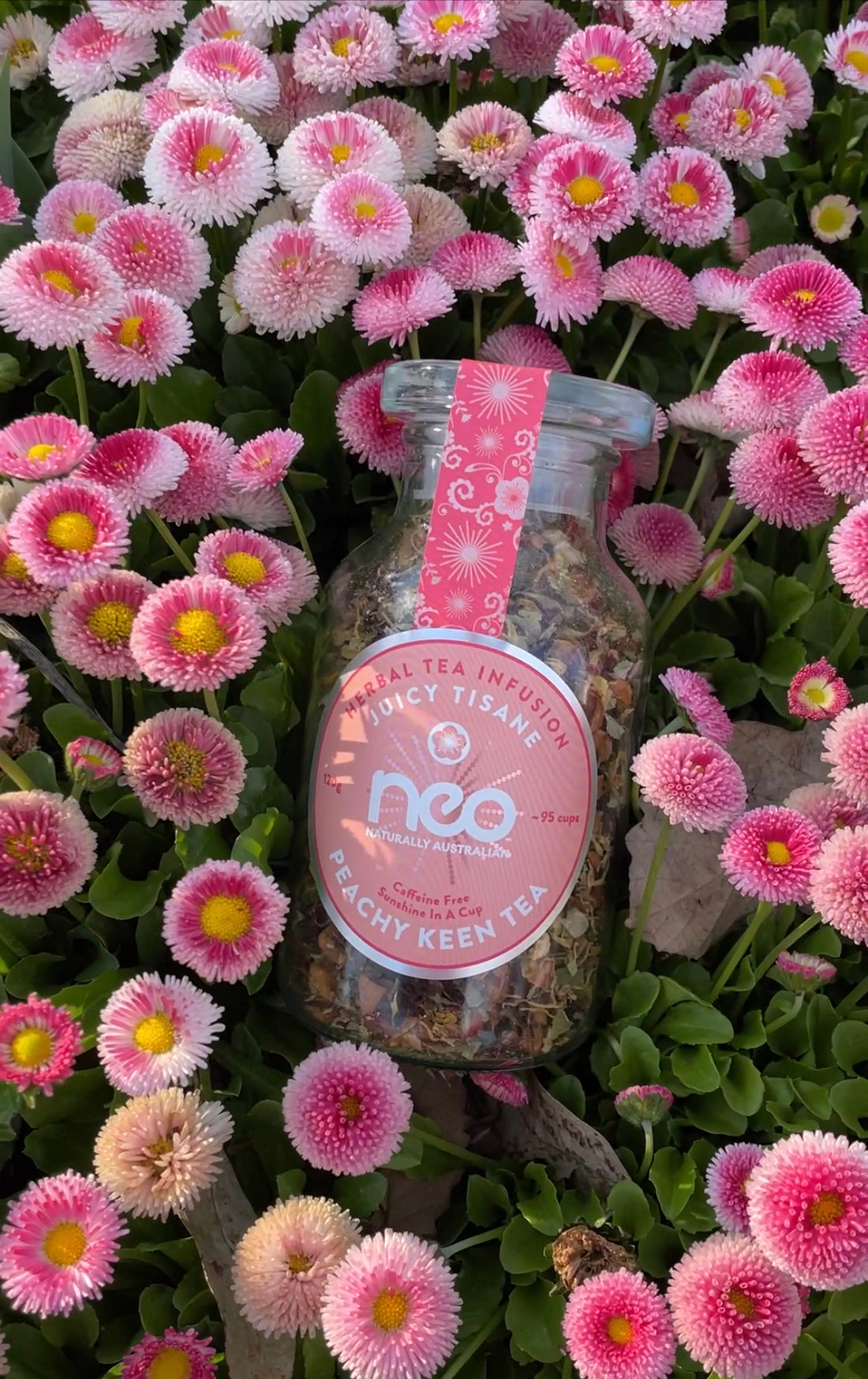 Peachy Keen Tea Jar 100g