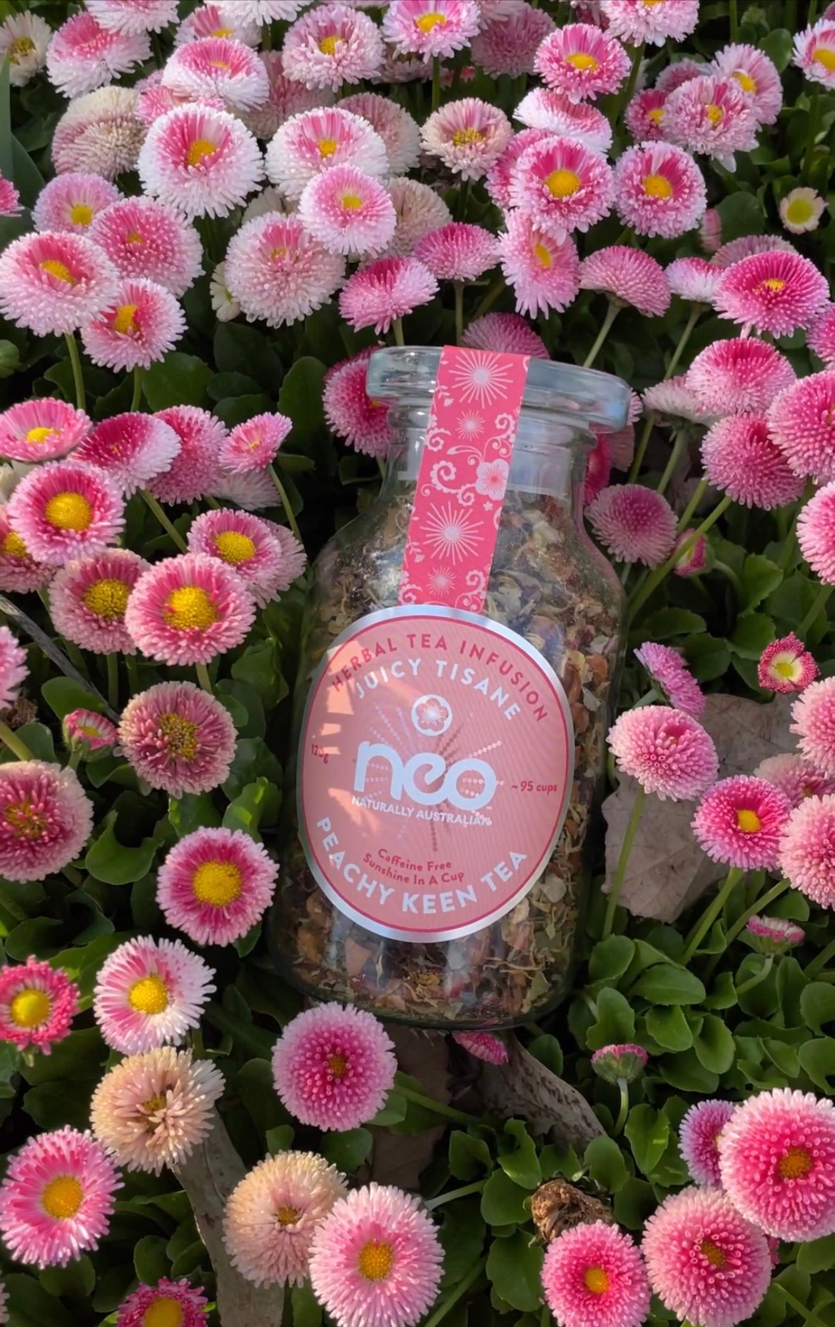 Peachy Keen Tea Jar 100g