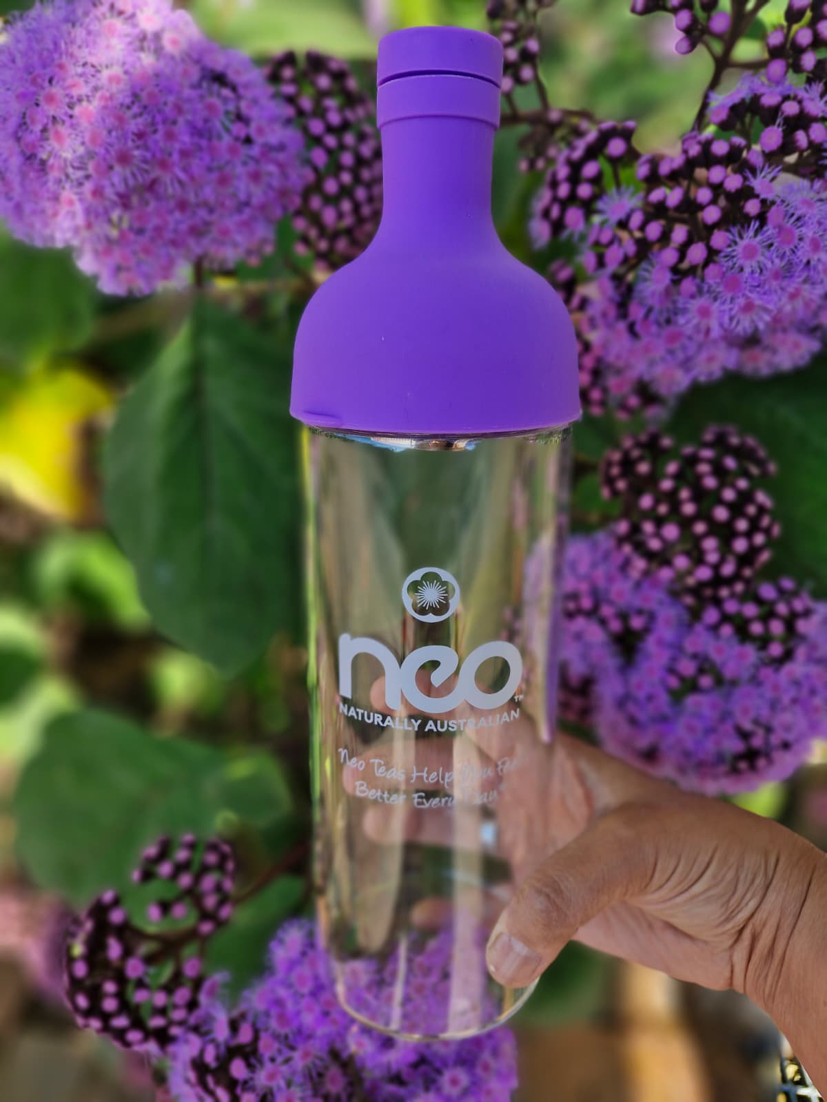 Summer Cold Brew Tea Bottle 750ml