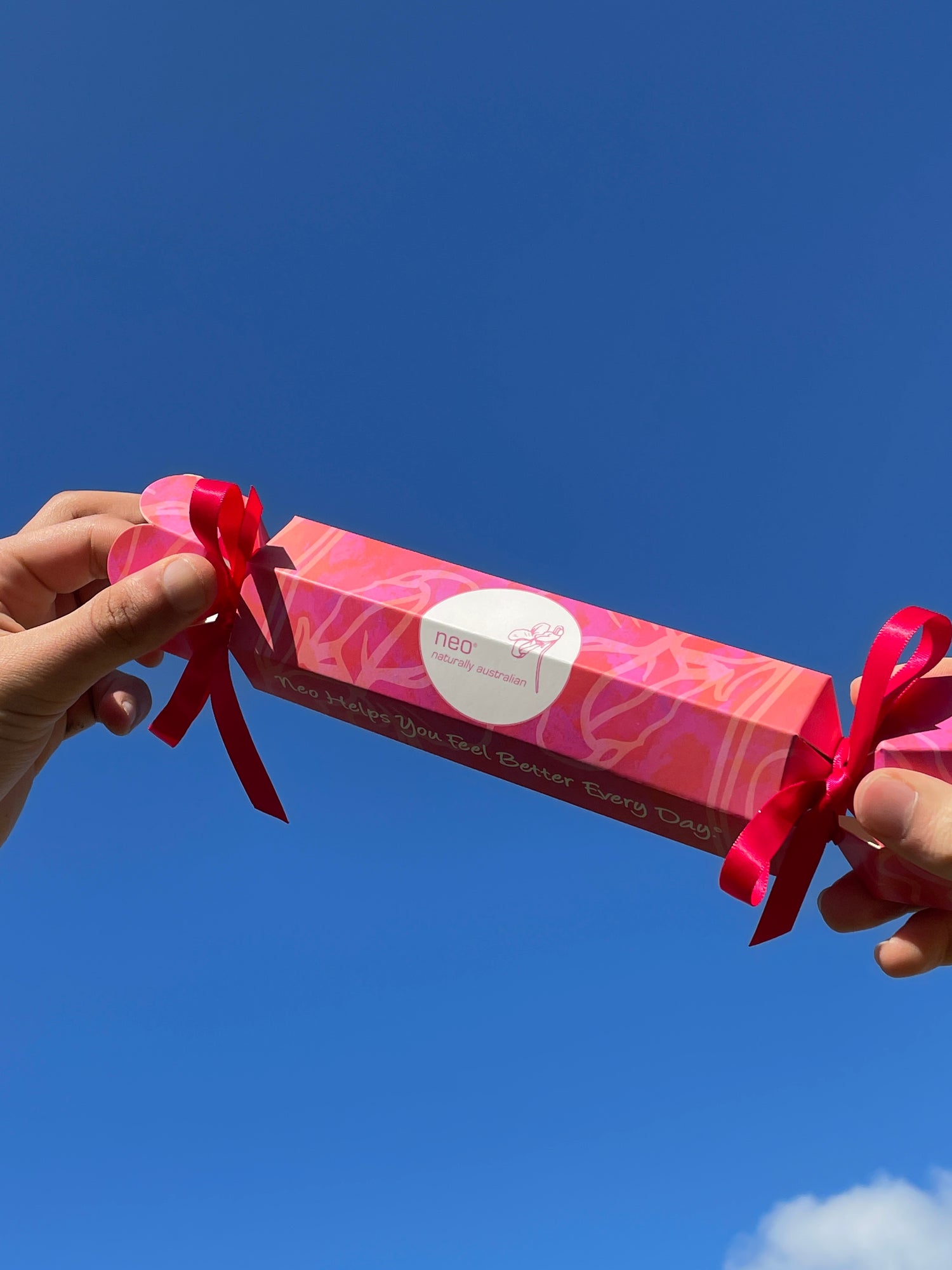 Tea Tube Christmas Cracker Bon Bon 6Pk